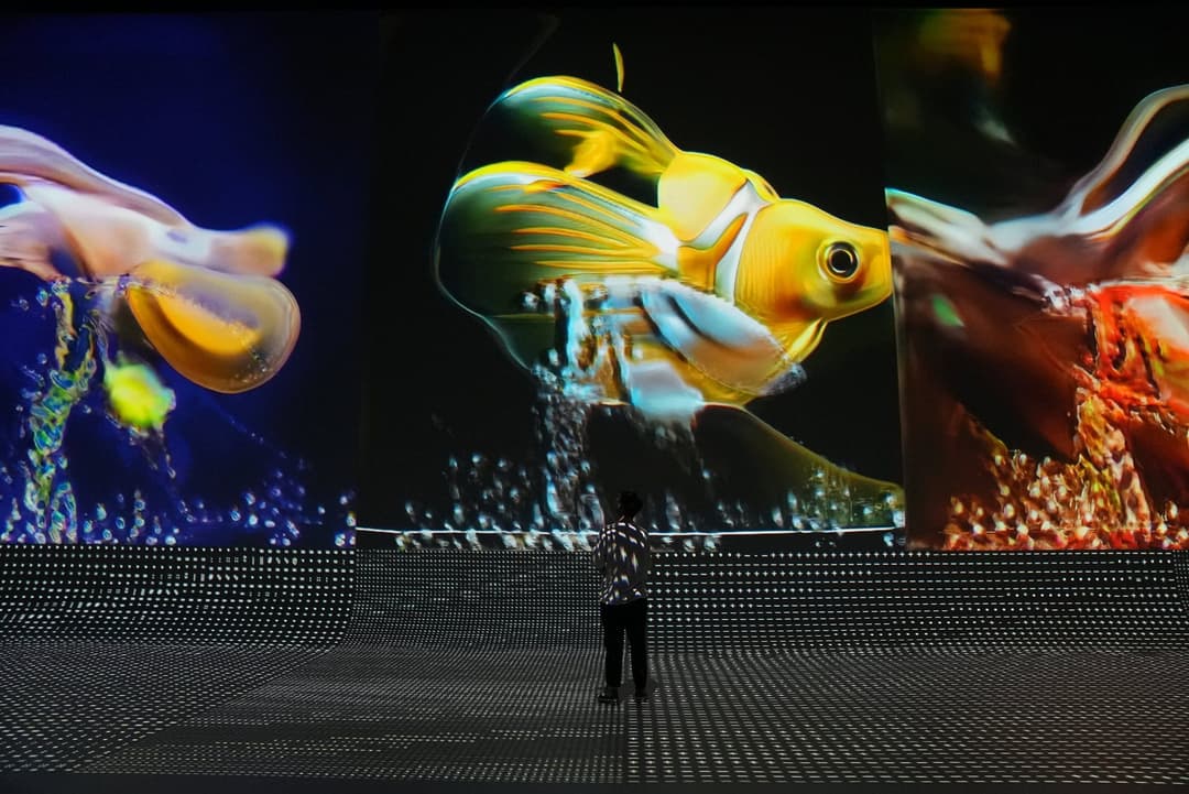 Decohering Delineation, REALTIME at Nxt Museum