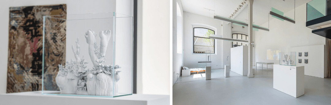 Exhibition at MAXXI National Museum of XXI Century Arts