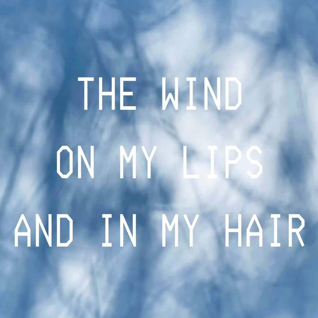 The wind on my lips and in my hair (still)