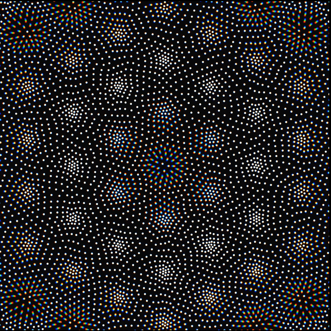 The Mind-Bending Work of Dave Whyte