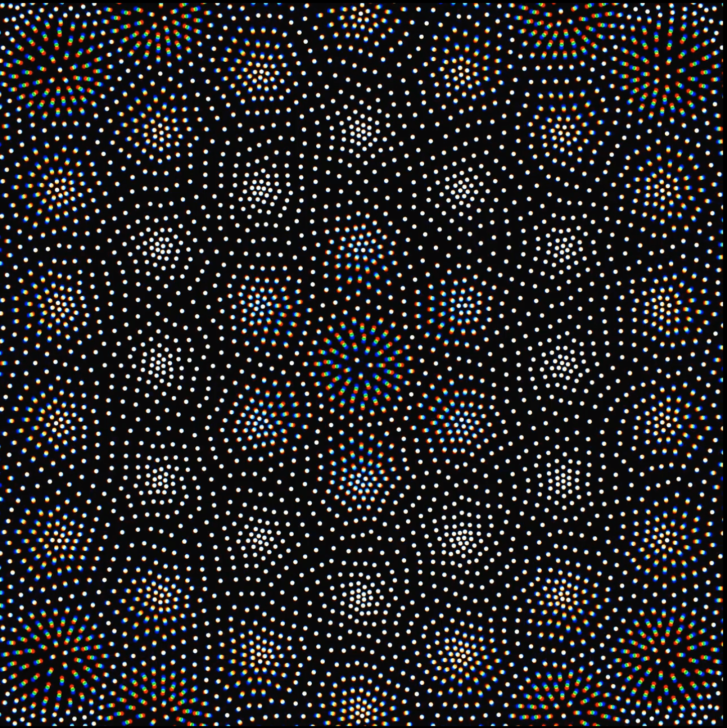 The Mind-Bending Work of Dave Whyte