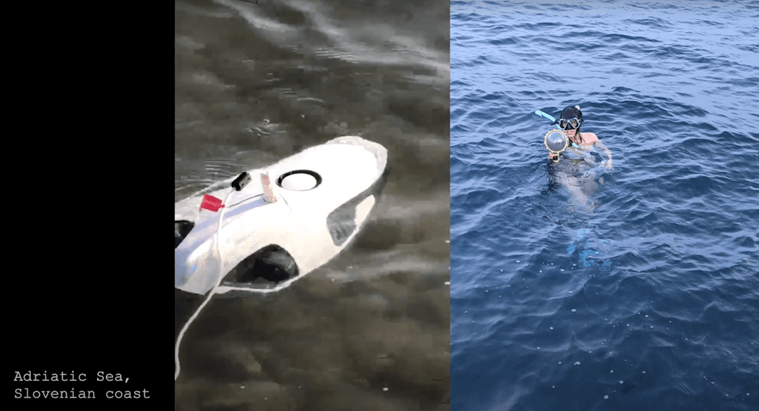 Sofia diving in the Adriatic Sea