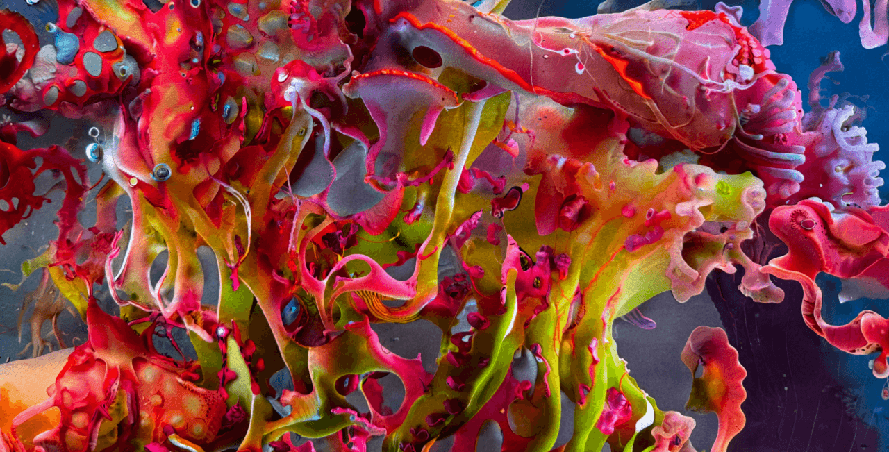 specious upwellings (detail), 2024