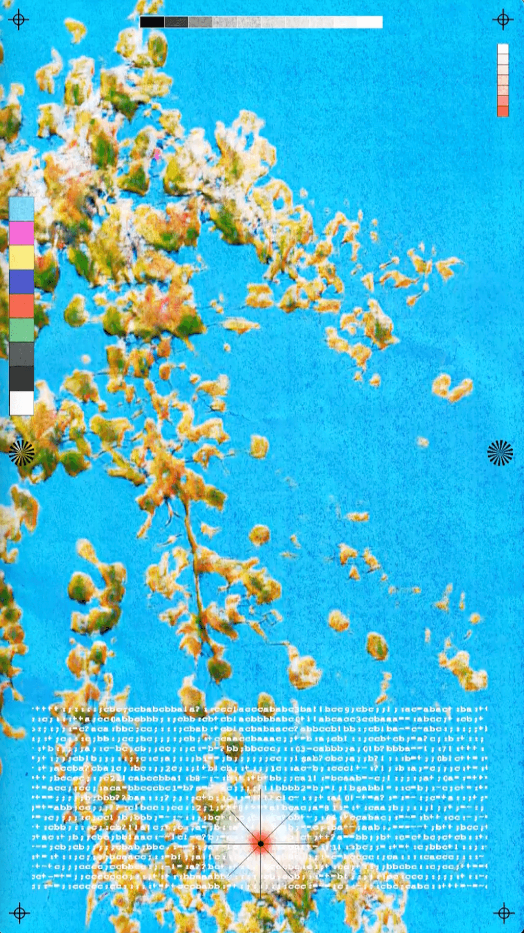 ARTXCODE's Curation with Cinello, Art Basel 2024