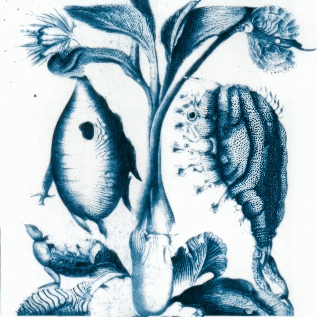 Sofia Crespo at Art Basel 2024