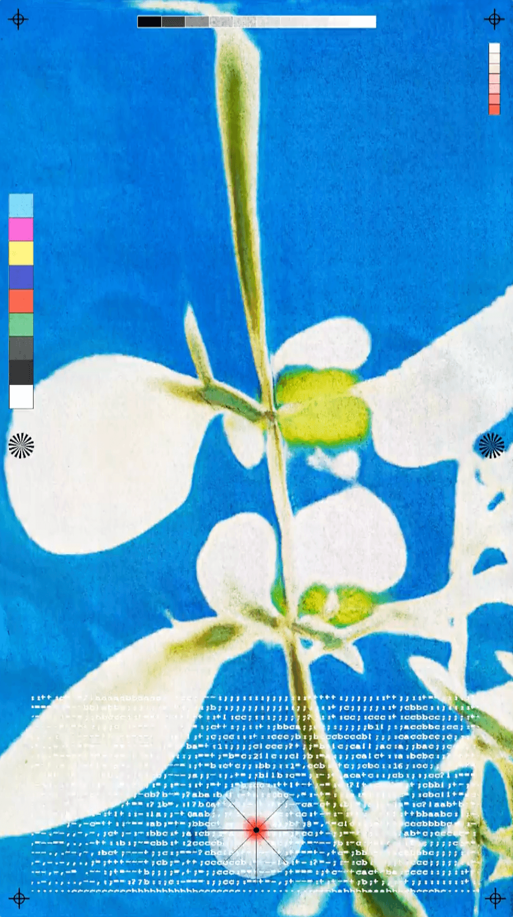 Once upon a flower A— 0X09 (still)